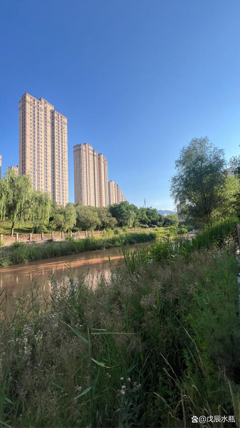 上海网络公司的优势与选择